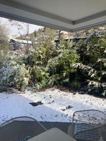 Garden Apartment Queenstown Bagian luar foto